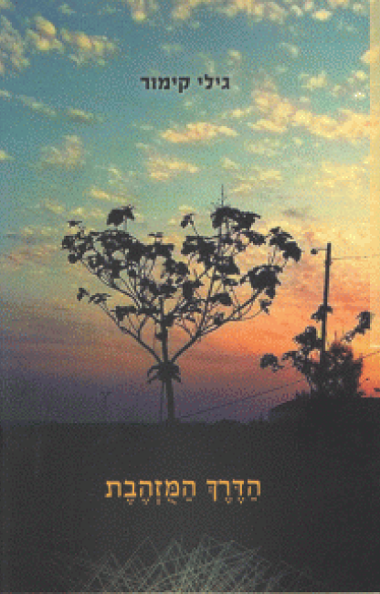 תמונה של הכריכה של הספר הדרך המוזהבת