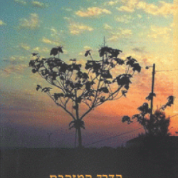 תמונה של הכריכה של הספר הדרך המוזהבת